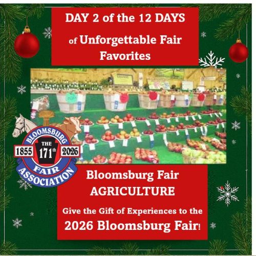 592905157_1292453319576880_8442232399882358763_n